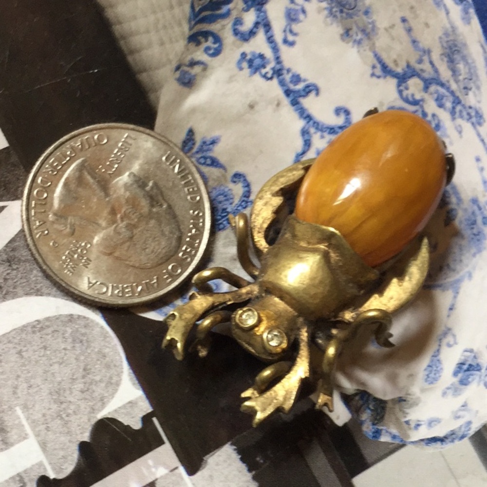 Brooch beetle pin garden club farmer’s market chic boho whimsical bug